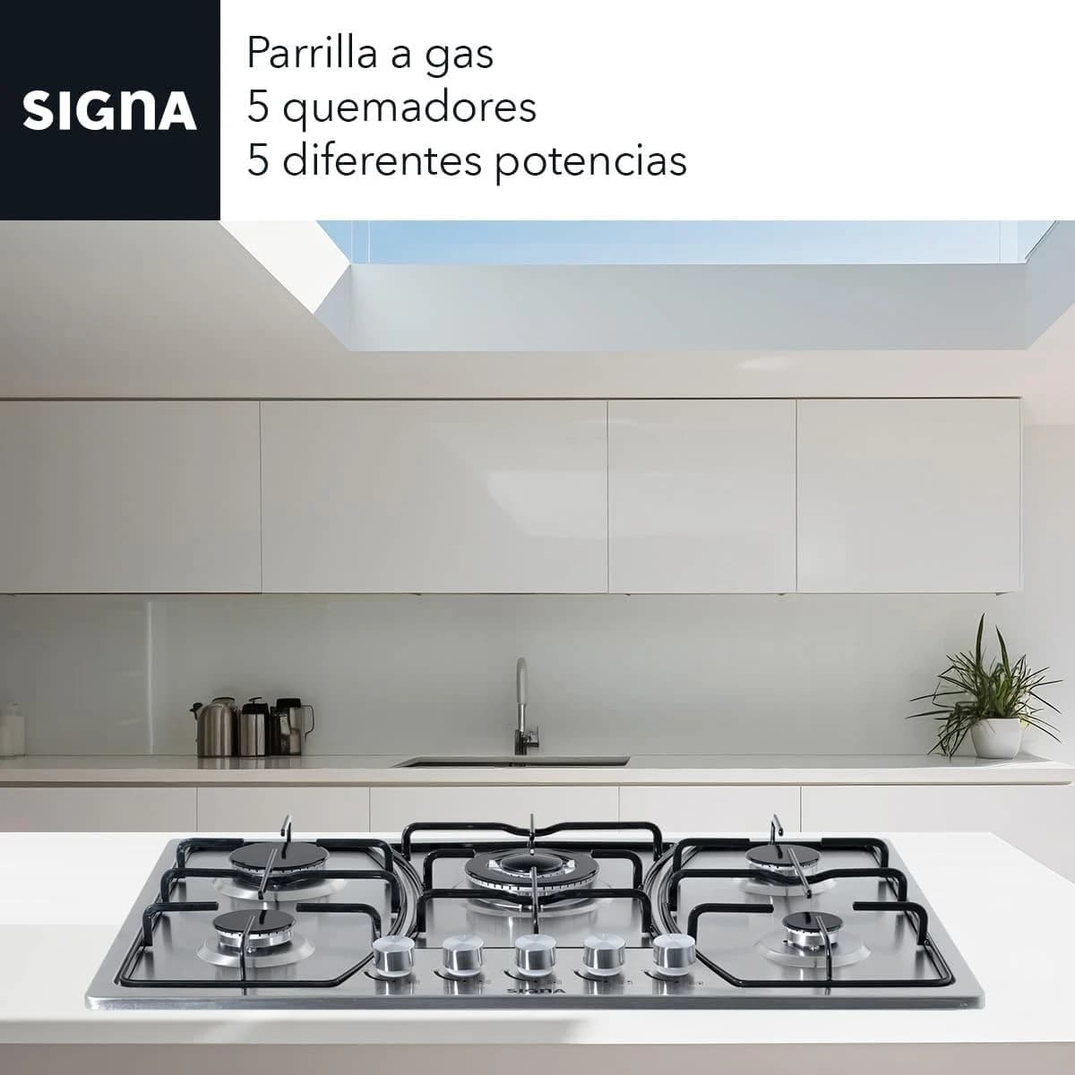 SELECTSHOP Parrilla De Gas 5 Quemadores De Acero Inoxidable  - Imagen 2