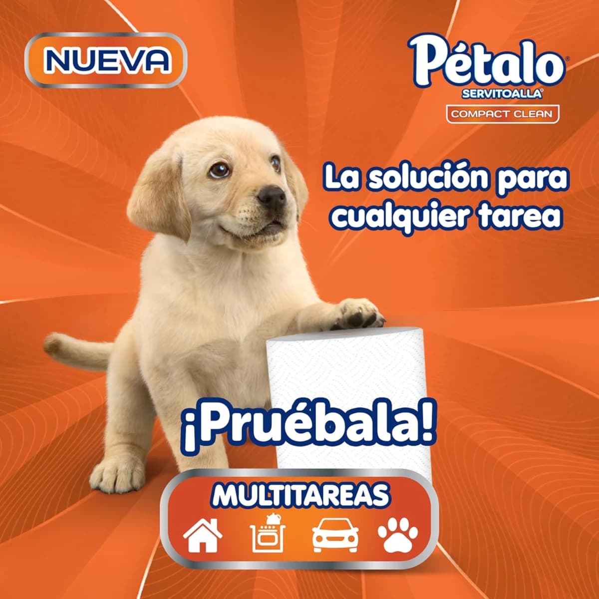 Pétalo Compact Clean, Servitoalla, 1 Rollo con 200 Hojas, Mu - Imagen 5
